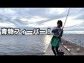 青物フィーバーの超人気沖堤防でぼっちショアジギしたら…!【沖一文字】