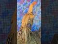 Parrot beck long tail for sale +91 97007 77318