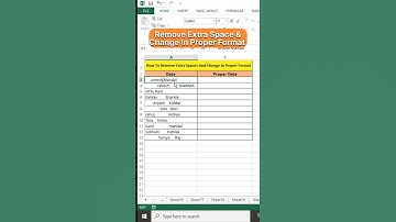 Remove Extra Space And Change In Proper Format #shorts #excel #msexcel #exceltutorial #viralvideo