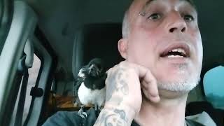 Otro Animalito Que Acabo De Recoger