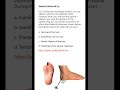 Medicine &amp; Surgery MCQs (For MBBS, USMLE, MCCQE &amp; PLAB)