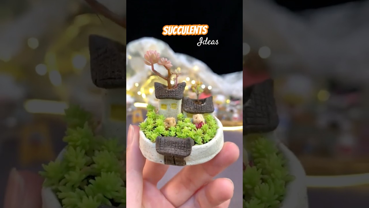 DIY Mini Succulent Arrangement: Amazing Ideas for Your Home Garden Plants | 다육이 | 多肉植物