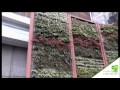 jardineria en santiago de chile