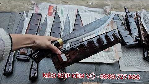 DAO MÈO CHUẨN NHÍP GIÁ BÌNH DÂN THU HOÀI 0889.727.666 (27/11/2025)