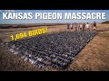 1,694 PIGEONS IN ONE HUNT!!! EPIC Pigeon Hunting Over Decoys!