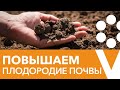 Как сделать почву плодородной? Прямой эфир с биологом Иваном Русских