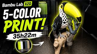 5-Color Toucan 3D Printing Timelapse | Bambu Lab X2D