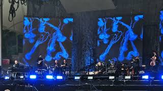 Peter Gabriel - Olive Tree (Live at Waldbühne, Berlin)