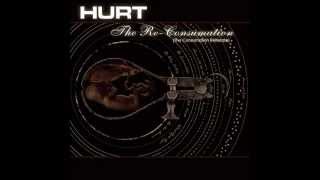 Hurt - The Old Mission