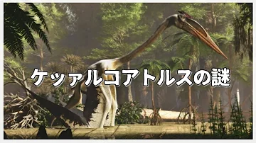 史上最大級の翼竜ケツァルコアトルスをテイム Ark アイランド 第7話 ゆっくり実況 Mp3 史上最大級の翼竜ケツァルコアトルスをテイム Ark アイランド 第7話 ゆっくり実況 Mp3