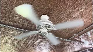 Hampton Bay Landmark Ceiling Fans 42” At Hair Salon