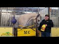 Horses LOVE U7-Gastric Aid™!