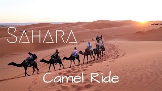 Sunset Camel Ride in the Sahara - Merzouga, Morocco