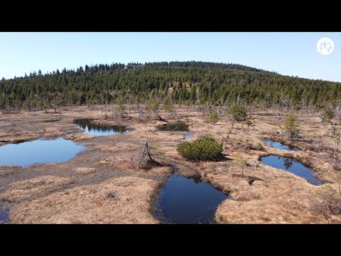 Jizerské hory - Čihadla, Nová louka 4K / UHD