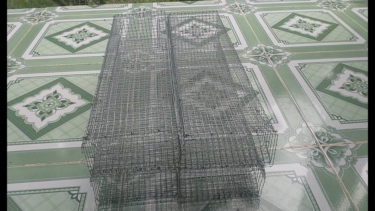 Giới Thiệu Cách Làm Chiếc Bẫy Rắn  Chuyên Đặt Các Loại Rắn #Hổ Đất #Hành Hèo #Ngựa