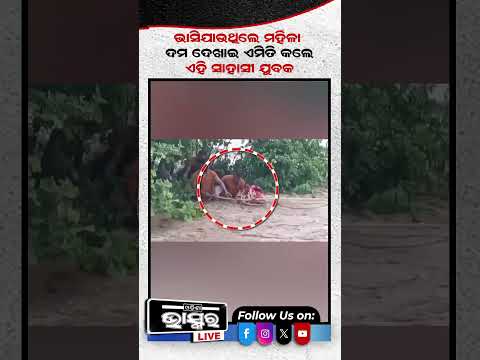 ଭାସିଯାଉଥିଲେ ମହିଳା ଉଦ୍ଧାର କଲେ ଯୁବକ ...#odishabhaskar #shortsvideo