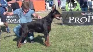 Pride of Russia Sidor 3