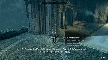 Day 506 - Killing Adoring Fan Every Day Until Elder Scrolls Skyblivion is Released