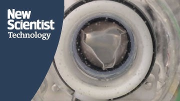 Heart valves created in minutes able to immediately control blood flow in sheep