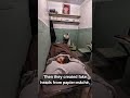 The Greatest Prison Escape
