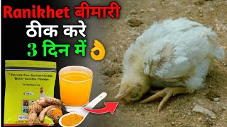 मुर्गियों में Ranikhet बीमारी का 100% इलाज करें👌|| Treatment of Ranikhet Disease in poultry