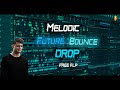 Melodic Future Bounce Project Mike William Style Free FLP/ Presets..