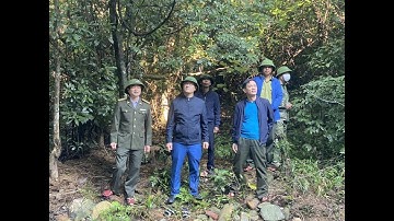 Tăng cường công tác quản lý, bảo vệ rừng dịp Tết Nguyên đán Quý Mão 2023