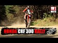 ИНМОТО ТЕСТ: Honda CRF300 RALLY — Универсальный солдат!
