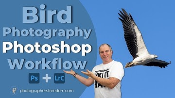 Editing A Bird Photo - My Secrets Revealed?!
