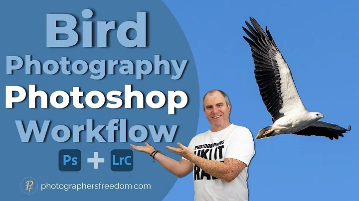 Editing A Bird Photo - My Secrets Revealed?!