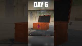 CSGO NEW OPERATION CASE OPENING DAY 6 #raingg #csgo #caseopening #csgoupdate #newcase #csgocases