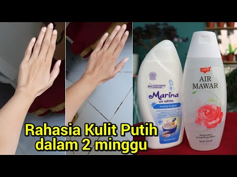 Handbody Marina Pemutih - Homecare24