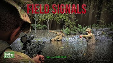 Field Signals