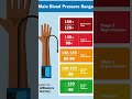 blood pressure range  #medicalstudent #pharmcist #doctor #medical  #aiims #medicalknowledge