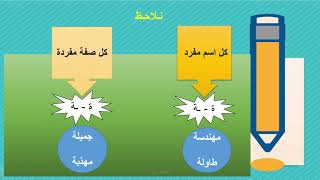 التاء المربوطة والتاء المفتوحة - لآلئ لغوية