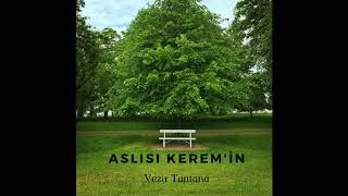 Aslısı Keremin - Salına Salına (Albüm Versiyon)