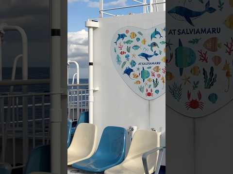 【東海汽船】さるびあ丸の探索vlog🚢