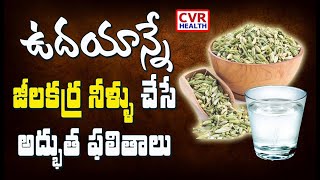 Just 1 Glass Of This Magical Combination for Cold, Cough and Allergies |CVR HEALTH