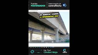 csi Bridge Determinacin De Contraflecha  Puentes Postensados