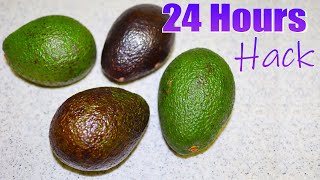 How To Quickly Ripen Avocado | I Tried Different Hacks To Ripen Avocado, 2 Hacks Work Instantly screenshot 4