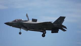 F-35B hovers