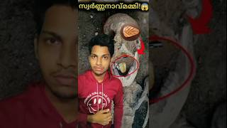 ഇതിന്റെ രഹസ്യംഅറിയാമോ? 😱 | Egipt mummies | Malayalam Timplus
