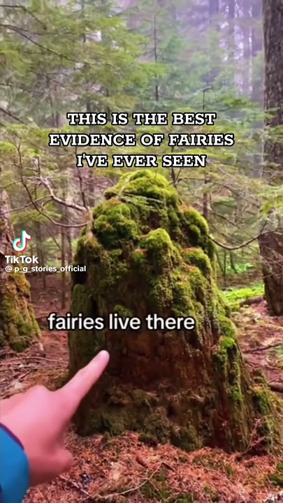 Real Fairy house ✨