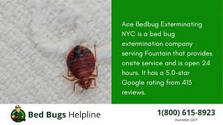 Top 3 Bed Bug Removal Companies in Fountain