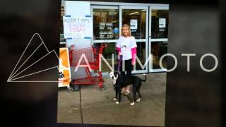 Adoption Event Pet Supplies Plus
