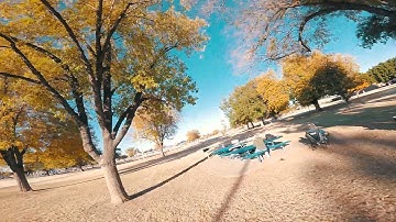 Tree Hugging St. Peter