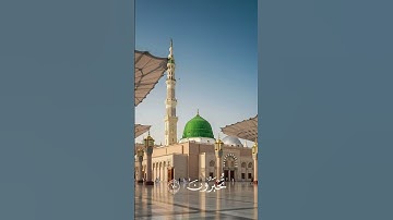 أكتب شيء تؤجر عليه❤📿 | الزخرف ٧٠ | القارئ محمد اللحيدان.