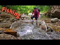 DEREDE BALIK AVI | Amazing Fishing Video | Fishing trap | Survival Skills | #Fishing #fish tornado
