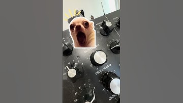 The origin of the REESE BASS. Learn sound design techniques from proven artists. Check our link!!