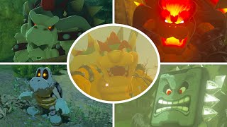 Zelda: Breath of the Wild - All MARIO Bosses